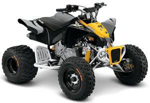 Cuatrimoto can-am™ DS-90