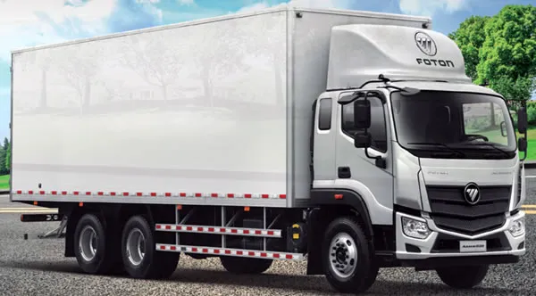 Cami&oacute;n tipo rab&oacute;n Foton S20 con aplicaci&oacute;n caja mudancera.