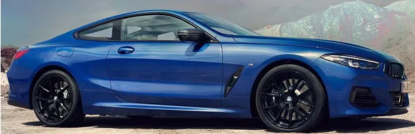 BMW Serie 8 Coup&eacute; Auto tama&ntilde;o mediano.