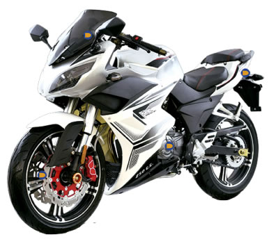 DINAMO Sport R1 250 cc